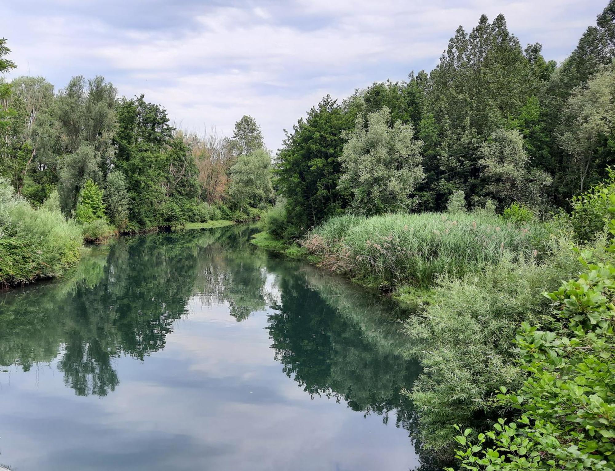 Siore Marie Gli Alloggi San Giórgio di Nogaro Dış mekan fotoğraf